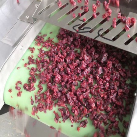 dries fruit cutting machine 1 dries fruit cutting machine 1