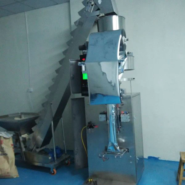 Salt Packing Machine
