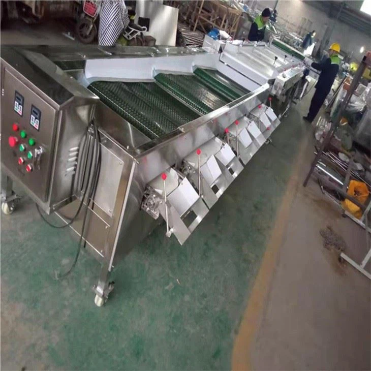 Automatic Blueberry Sorting Machine