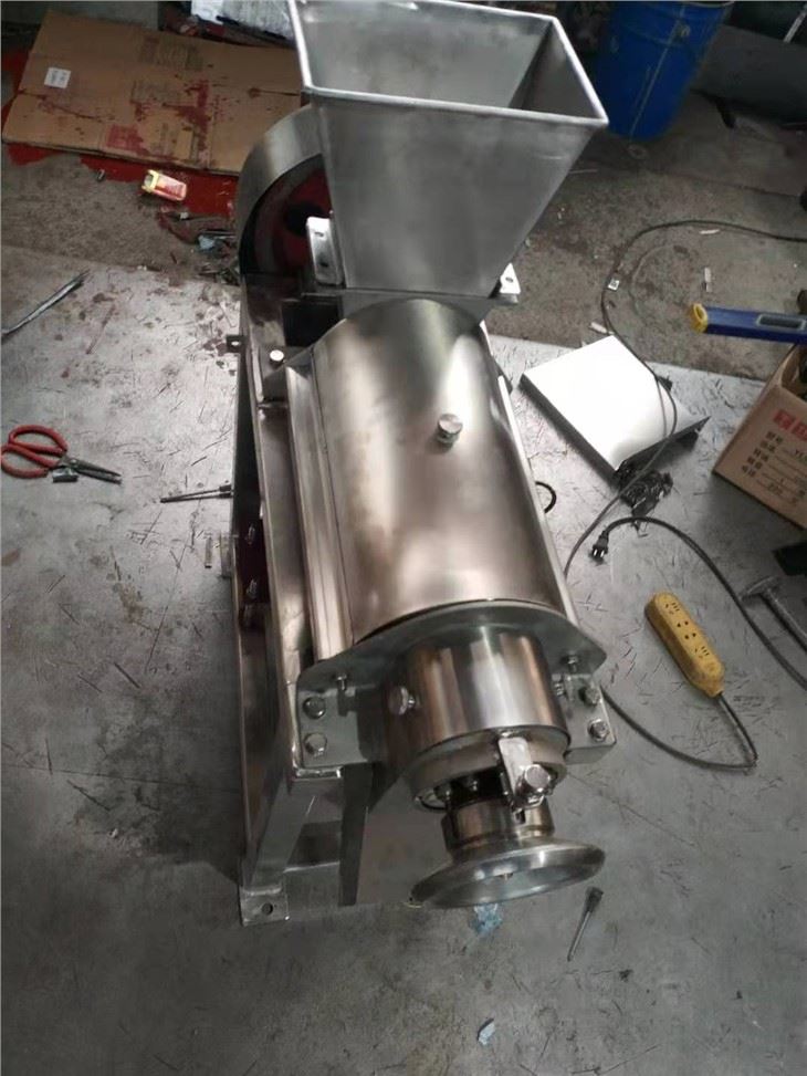 Automatic Kiwi Juice Making Machine