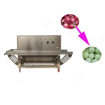 Continuous Onion Peeling Machine