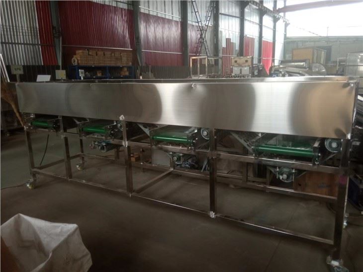 Garlic Sorter Machine
