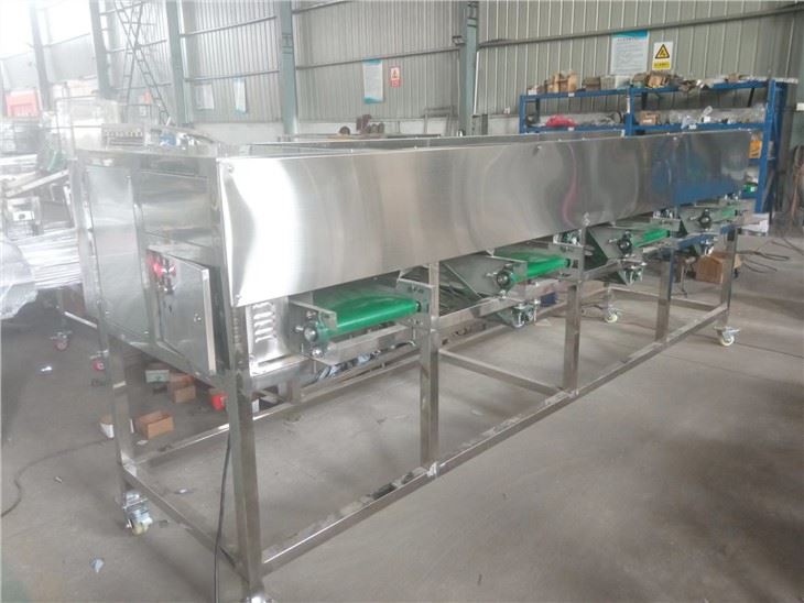 Garlic Sorter Machine