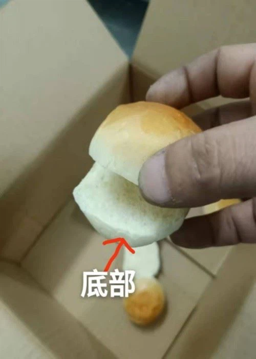 Hamburger Bun Slicer