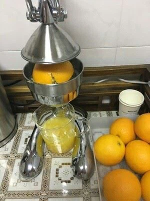Lime Juice Extractor Machine