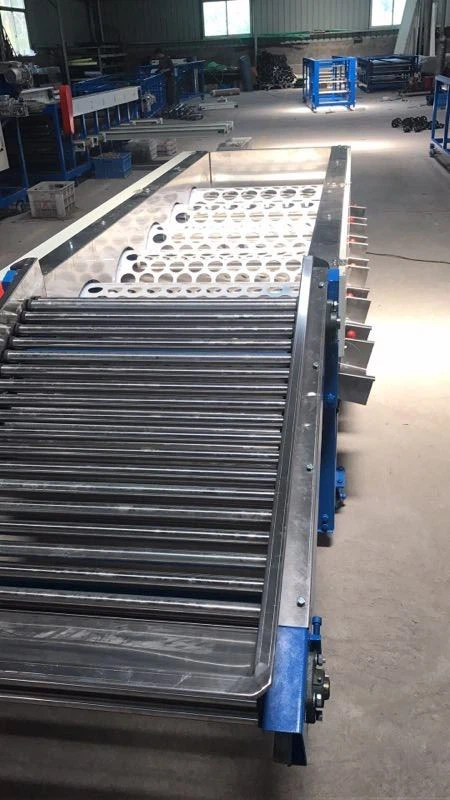 Onion Sorting Machine
