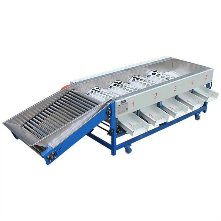 Onion Sorting Machine