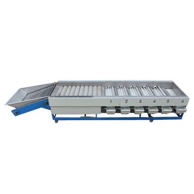 Grapefruit Sorting Machine