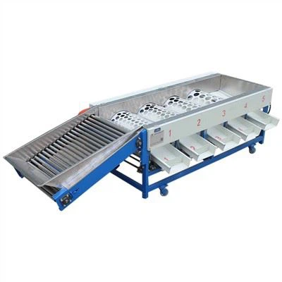 Onion Sorting Machine