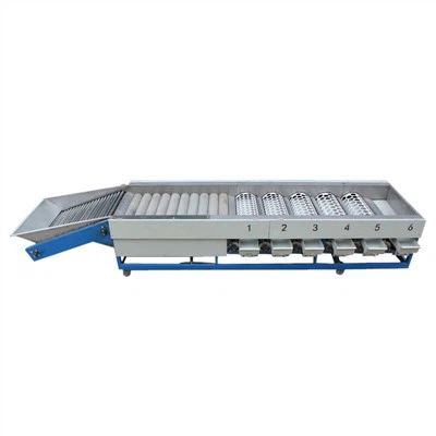 Peach Grading Machine