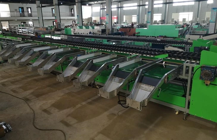 Apple Avocado Soring Grading Machine