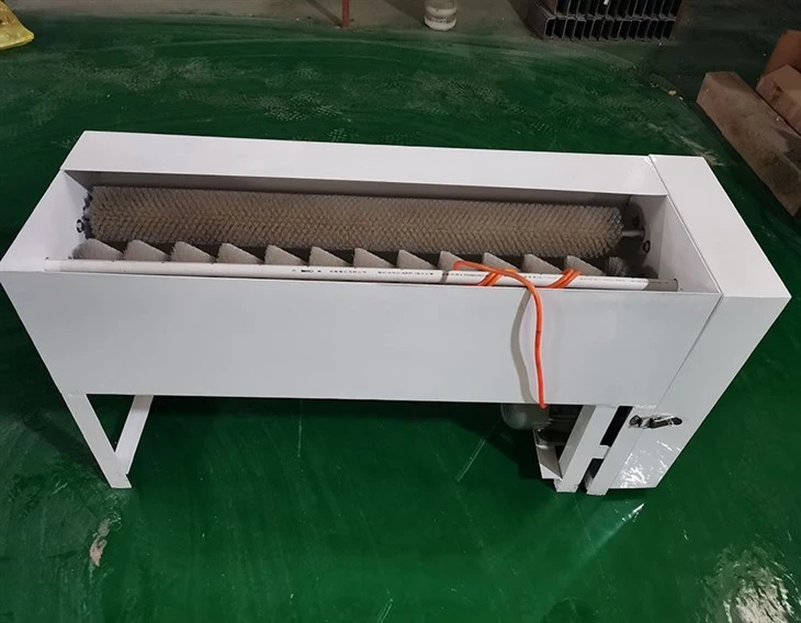 Chicken Egg Washing Machine