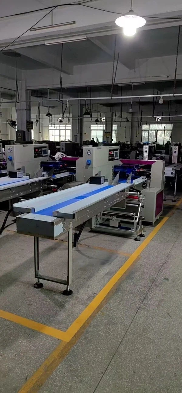 Horizontal Pillow Packing Machine