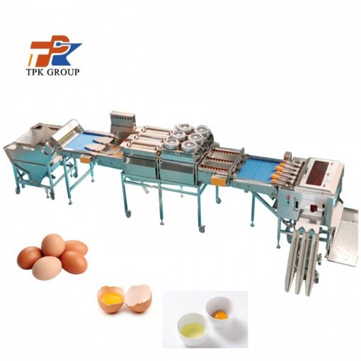 Automatic Egg Breadking Line
