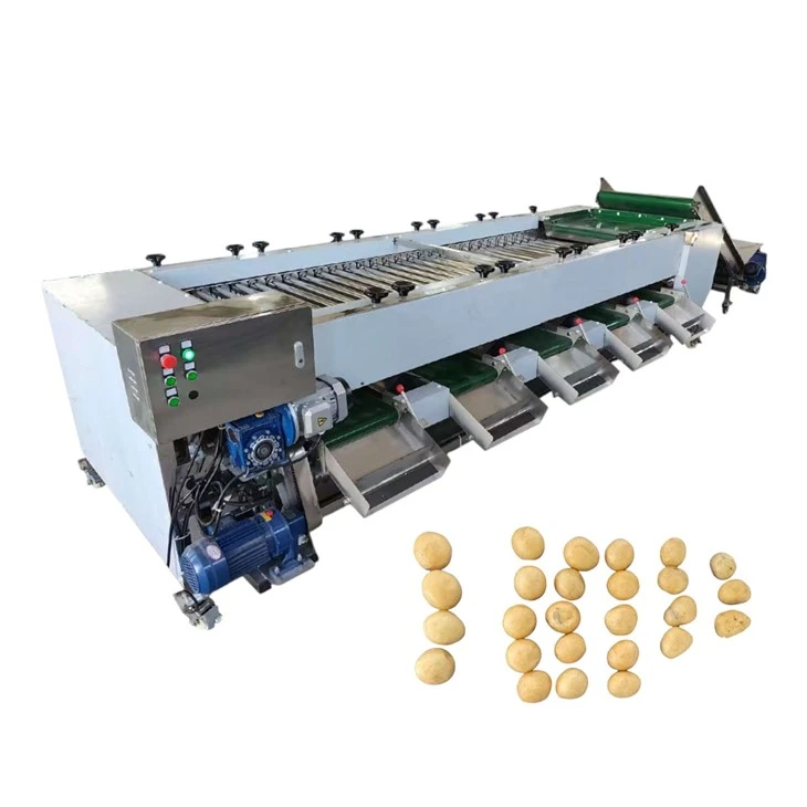 Automatic Roller Fruit Sorting Machine