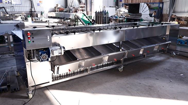 Automatic Roller Fruit Sorting Machine factory