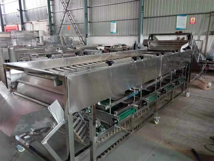 Automatic Roller Type Fruit Sorting Machine