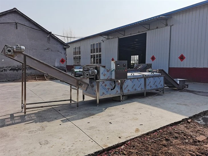 Automatic Vegetable Blanching Machine