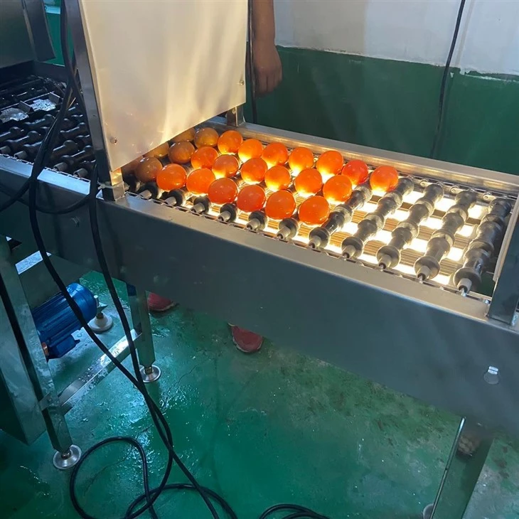 Egg Washing Production Line price
