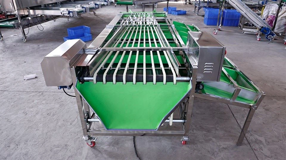 Fruit Size Grading Machine high quality