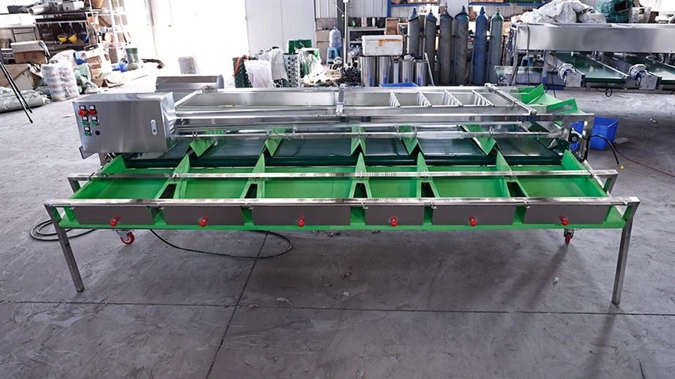 Fruit Size Grading Machine factory