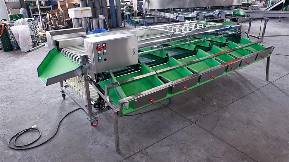 Fruit Size Grading Machine best