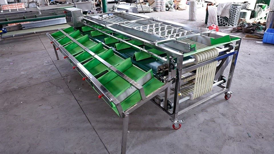 Fruit Size Grading Machine suppliers