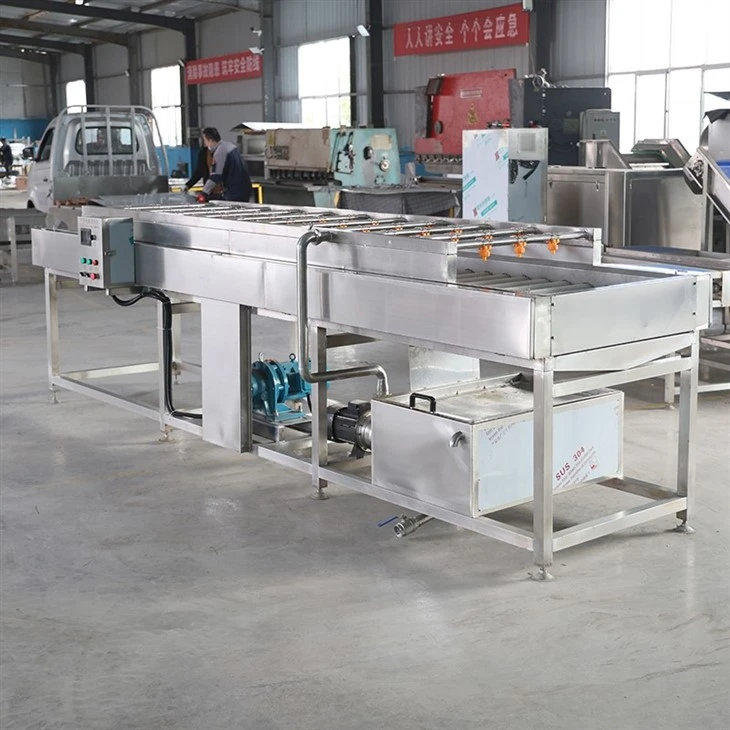 Fruit Vegetable Washing Drying Machine