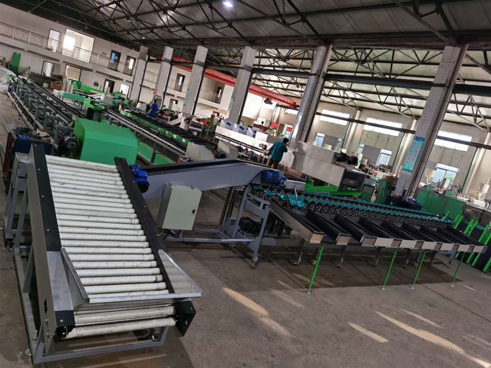 Horizontal Electronic Fruit Grading Machine