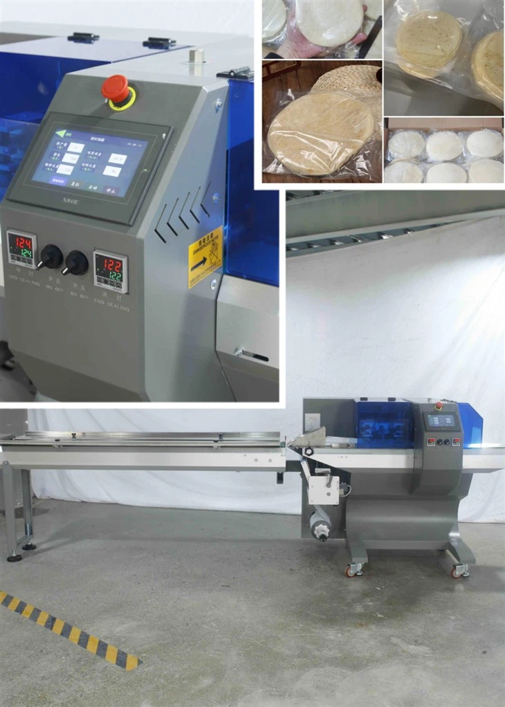 Horizontal Flow Wrappers factory