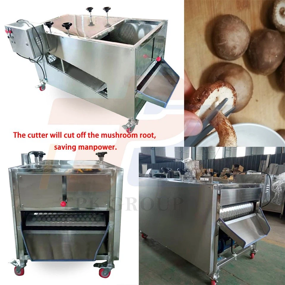 mushroom cutting machine (2)