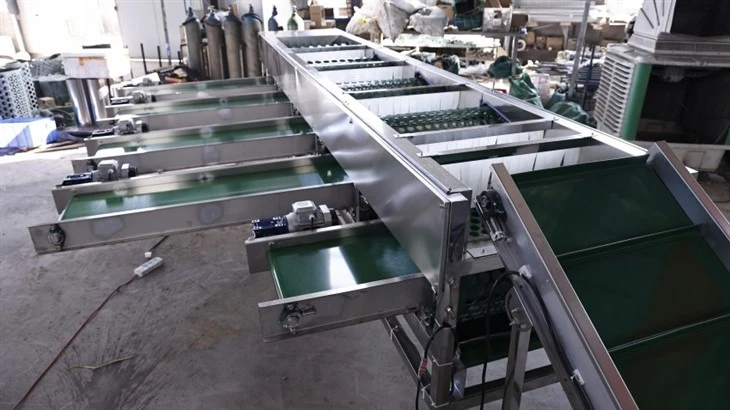 Mushroom Sorting Machine suppliers