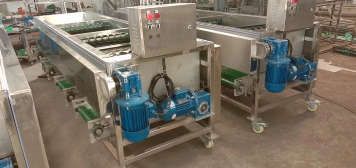 Mushroom Sorting Machine price