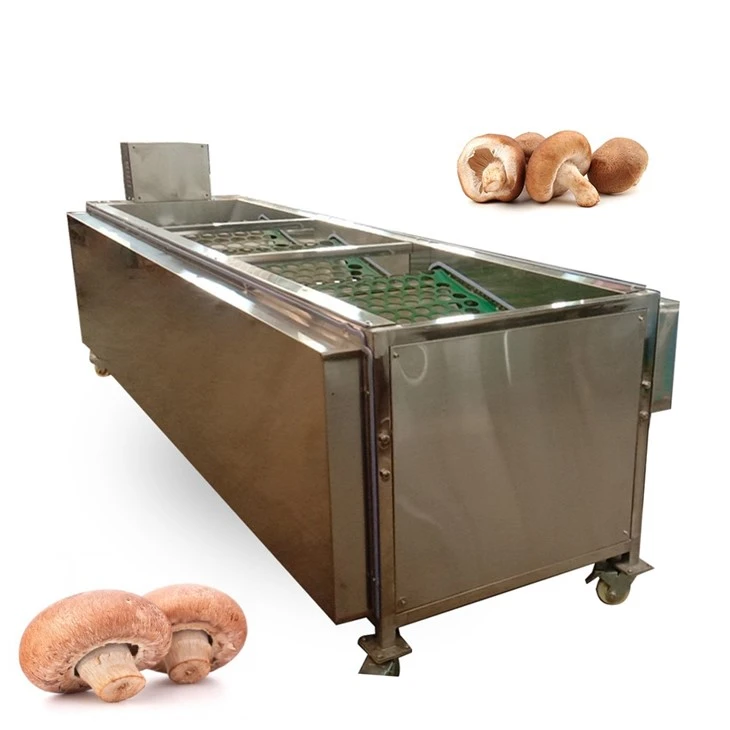 Mushroom Sorting Machine