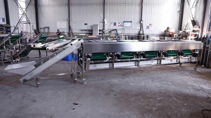 Mushroom Sorting Machine best