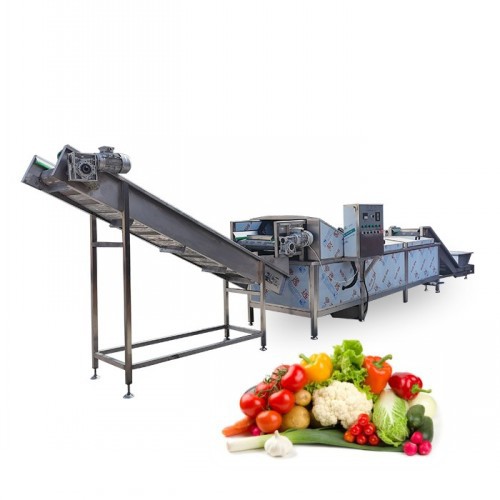 Potato Chips Washing Frying Blanching Machine