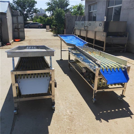 olive sorting machine olive sorting machine