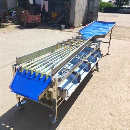 olive sorting machine 12 olive sorting machine 12