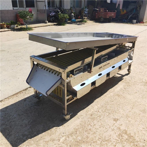 olive sorting machine 4 olive sorting machine 4