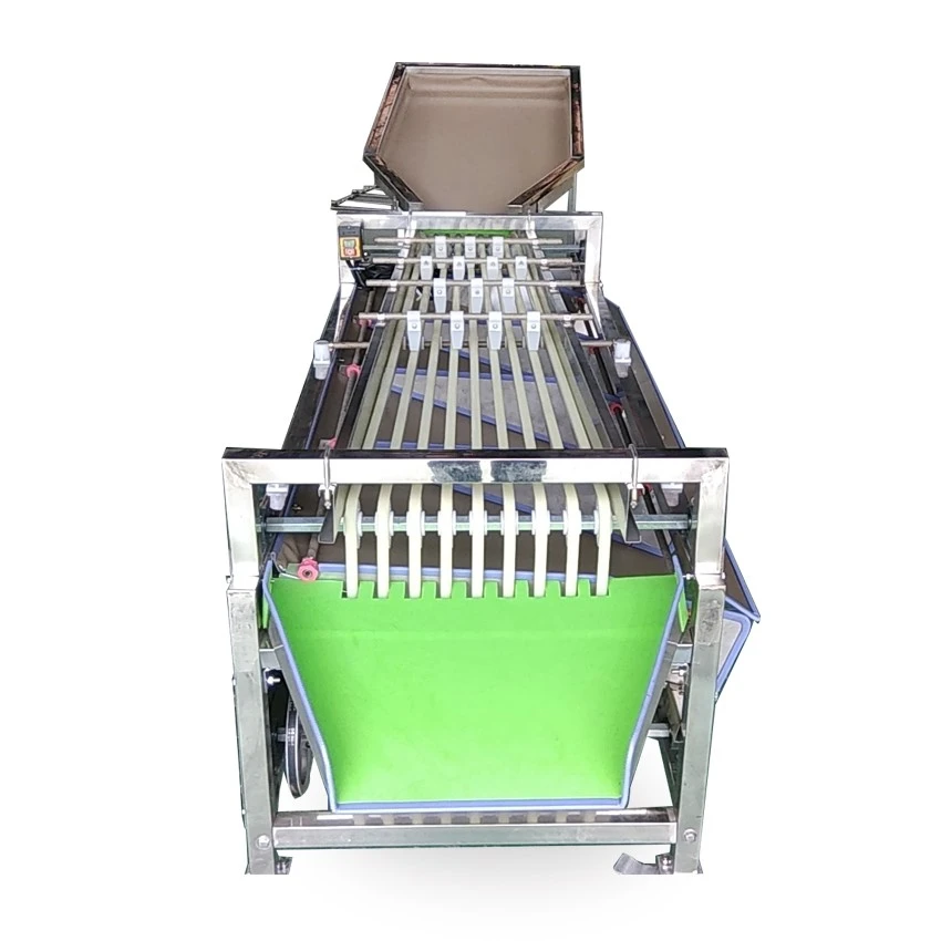 Kiwi fruit sorting machine 1