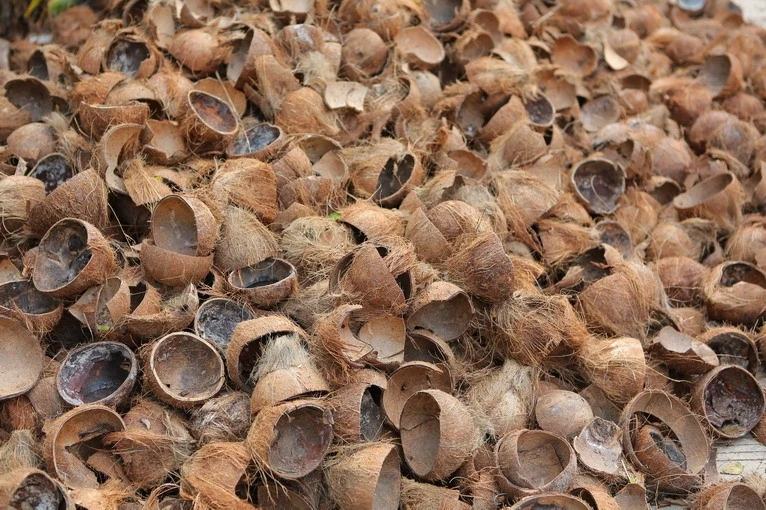 Coconut shelling Machine 1 Coconut shelling Machine 1