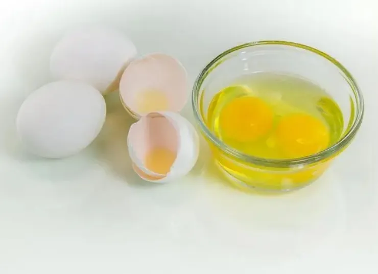 egg egg