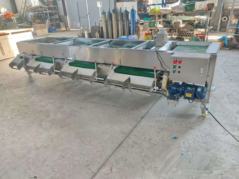 Wholesale Berry Grading Machine 16 Wholesale Berry Grading Machine 16
