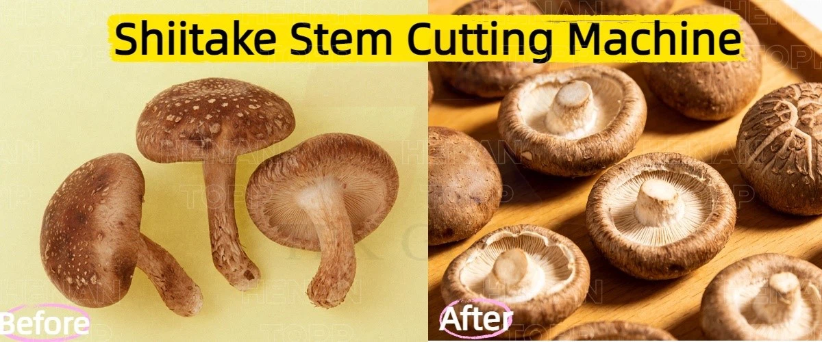 Mushroom Cutting Machine Mushroom Cutting Machine