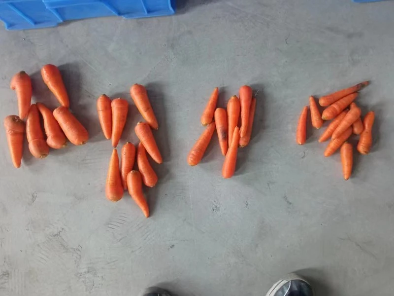 sorting 1 sorting 1