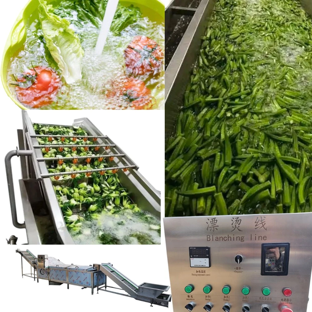 Automatic Vegetable Blanching Machine 2
