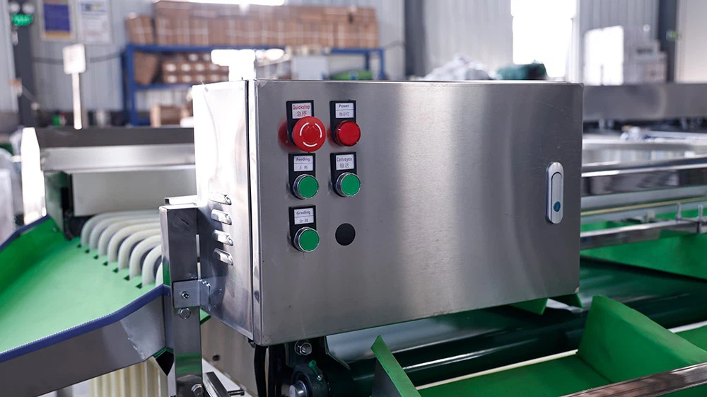 Fruit Size Grading Machine Fruit Size Grading Machine