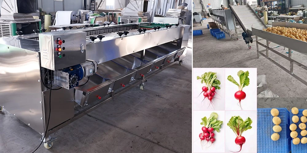 product-1000-500 product-1000-500