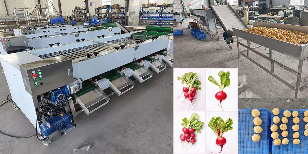 product-1000-500 product-1000-500