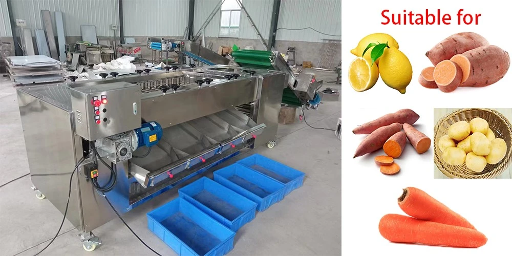 product-1000-500 product-1000-500